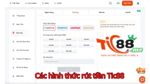 Các hình thức hỗ trợ rút tiền Tic88